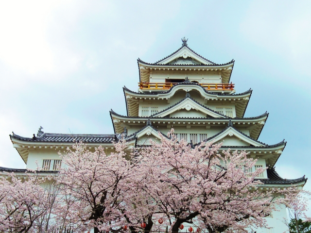 福山城と満開の桜